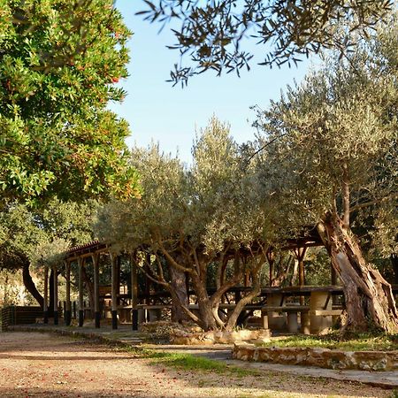 Camping Alquézar Extérieur photo