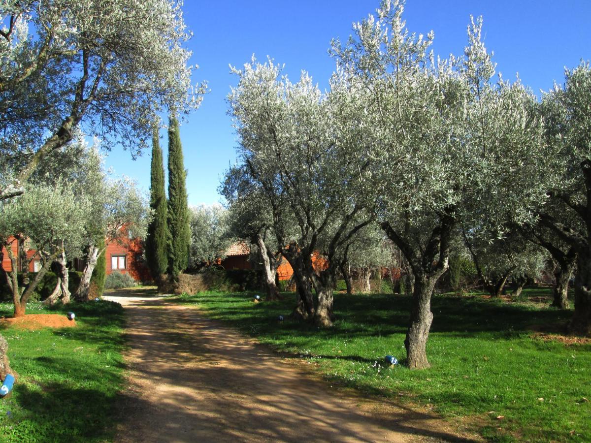 Camping Alquézar Extérieur photo