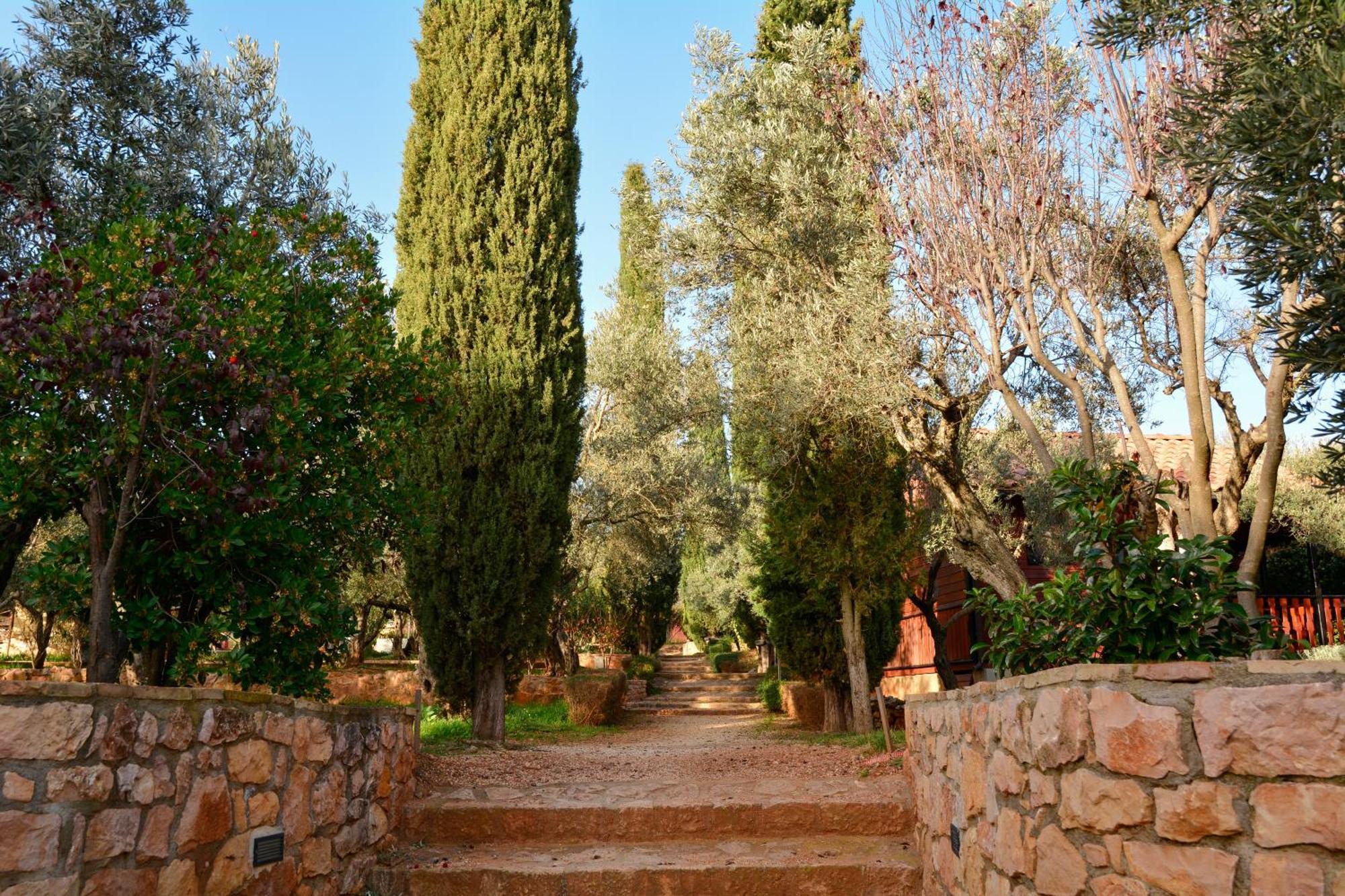 Camping Alquézar Extérieur photo