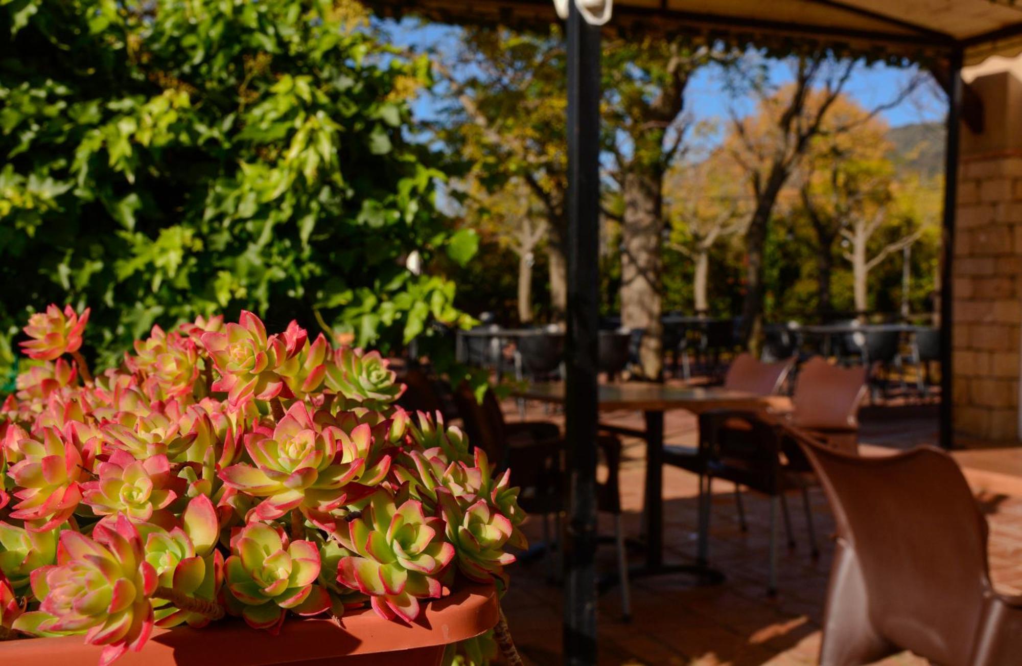 Camping Alquézar Extérieur photo