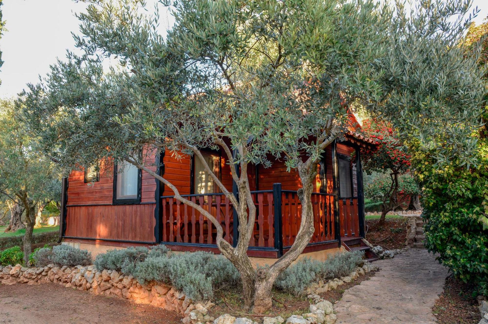 Camping Alquézar Extérieur photo
