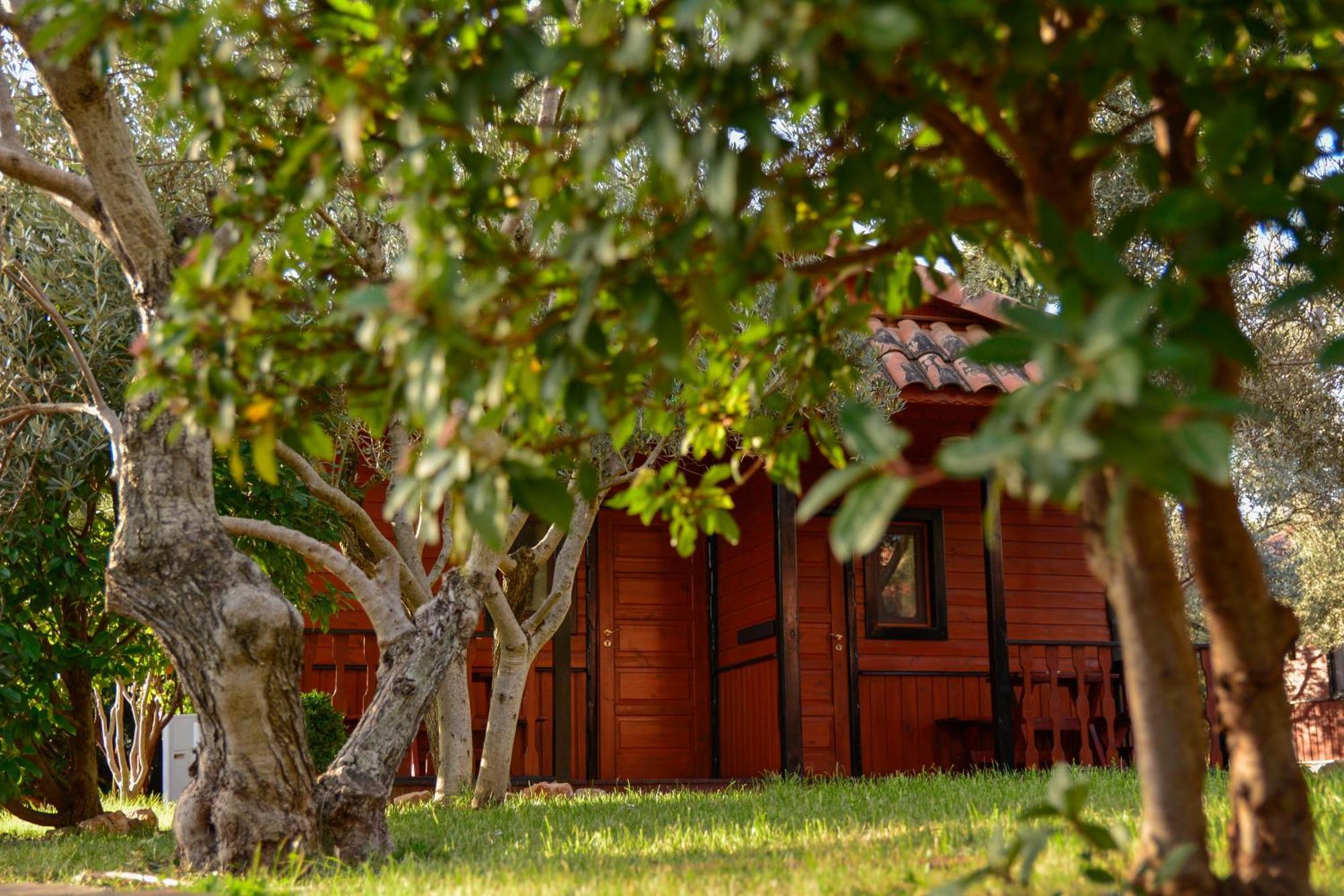 Camping Alquézar Extérieur photo