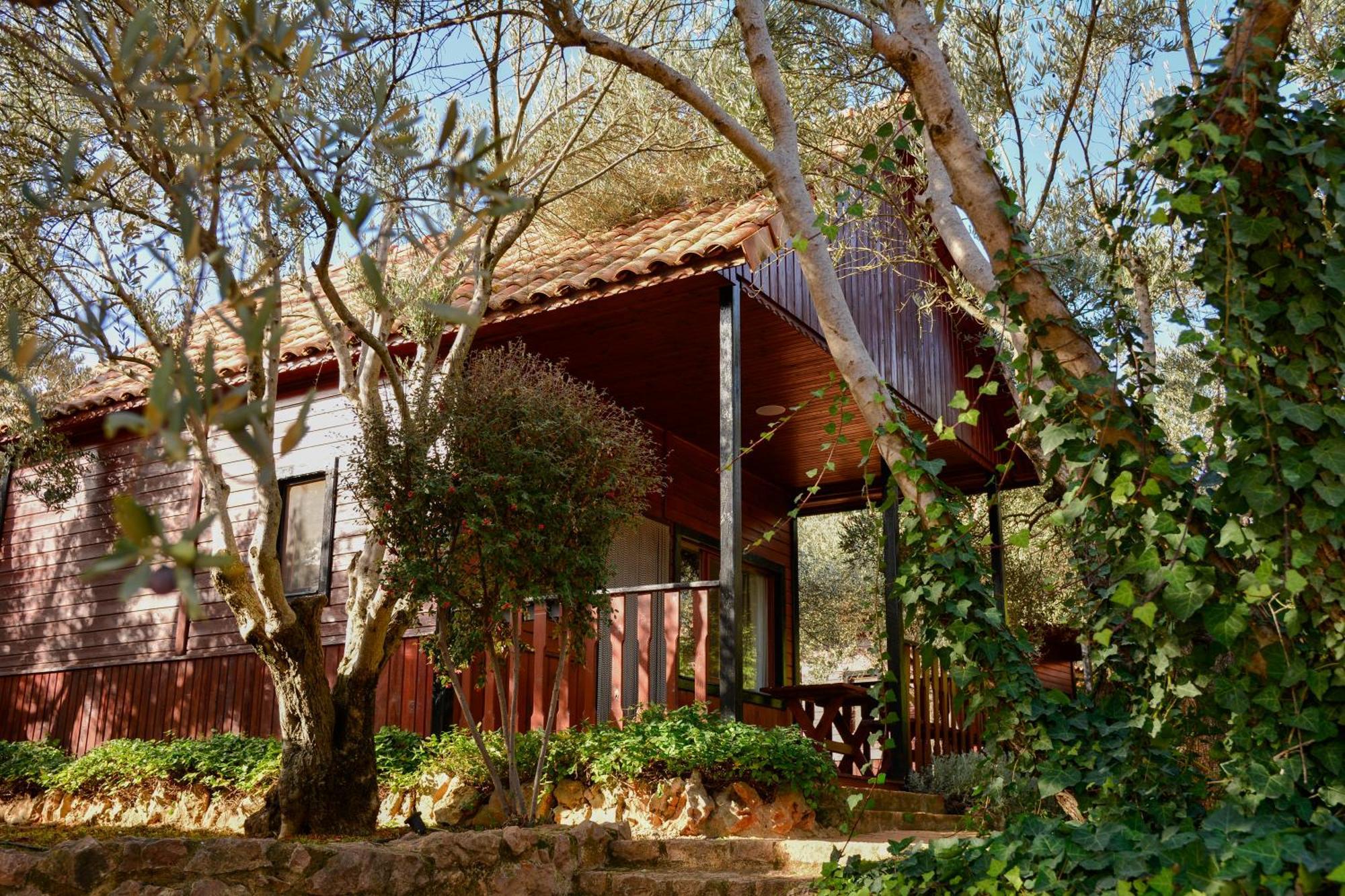 Camping Alquézar Extérieur photo